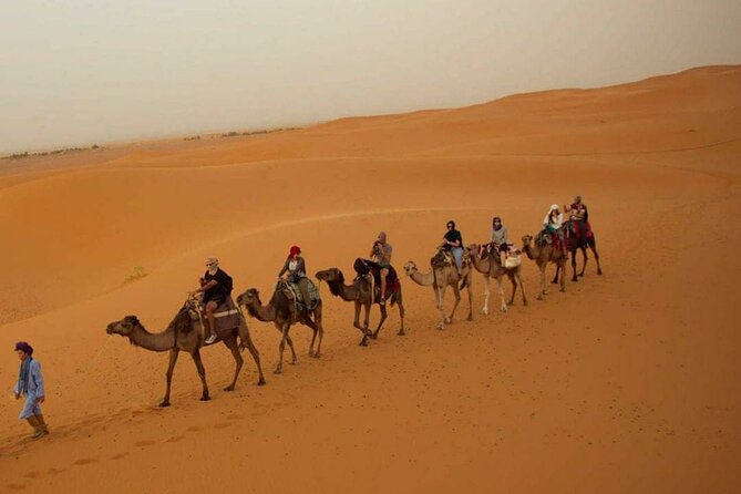 Pleasant Non-Touristic Overnight Camel Safari (From 2:00 PM to Approx. 10:30AM) - A 2:00 PM start from Pleasant Haveli