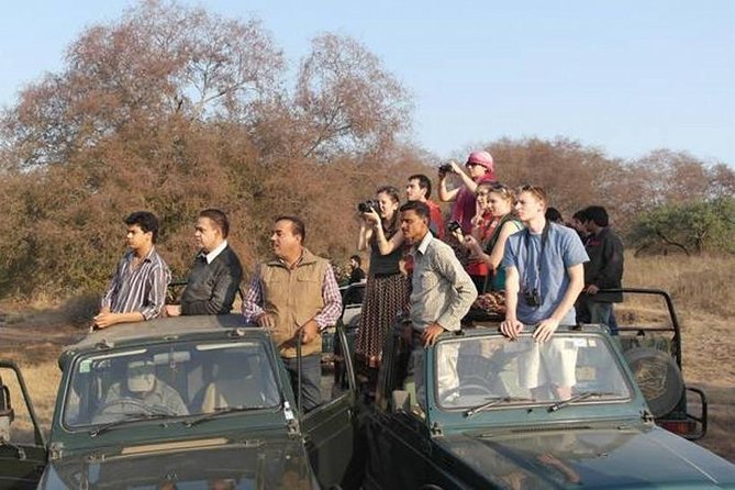 Private 4-Day Wildlife & Taj Mahal Tour from Jaipur to Delhi - Day 2: Bharatpur birds and the red sandstone of Fatehpur Sikri