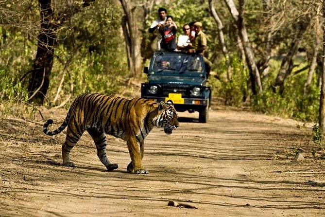 Private 5-Day Ranthambhore Tiger Tour from Delhi including the Taj Mahal, Agra and Jaipur - Delhi begins with Mughal tombs and modern India