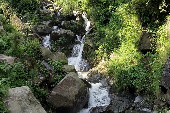 Private 6 hrs Mcleodganj & Dharamshala City Tour - What this six-hour Dharamshala tour is really designed to do