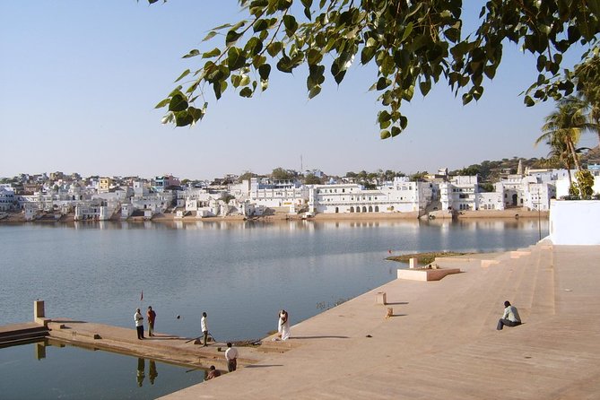 Private Day Trip to Ajmer and Pushkar from Jaipur - What the driver service is really like