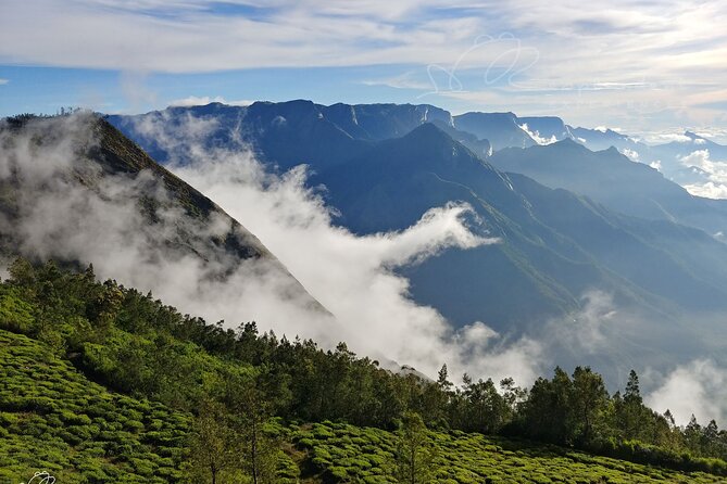 Private Day Trip to Munnar from Kochi (Cochin) - Cheeyappara and Valara: useful breaks on the climb