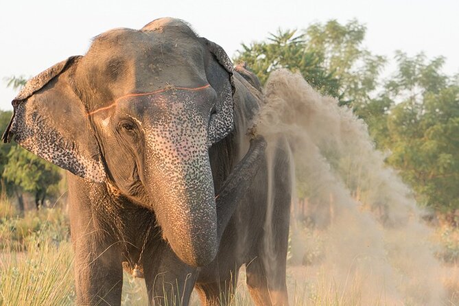 Private Elephant Sanctuary - Pickup from Jaipur and the road to the sanctuary