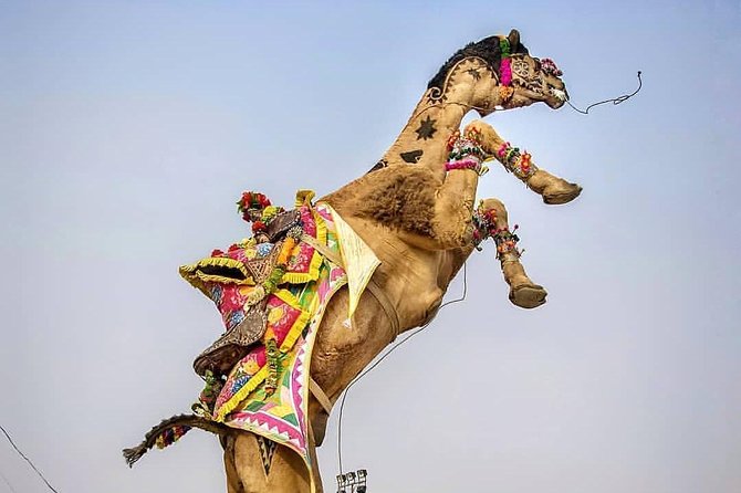 Private Full Day Jaipur Sightseeing Tour By Tuk-Tuk (Rickshaw) - Starting with Jaipur’s pink streets