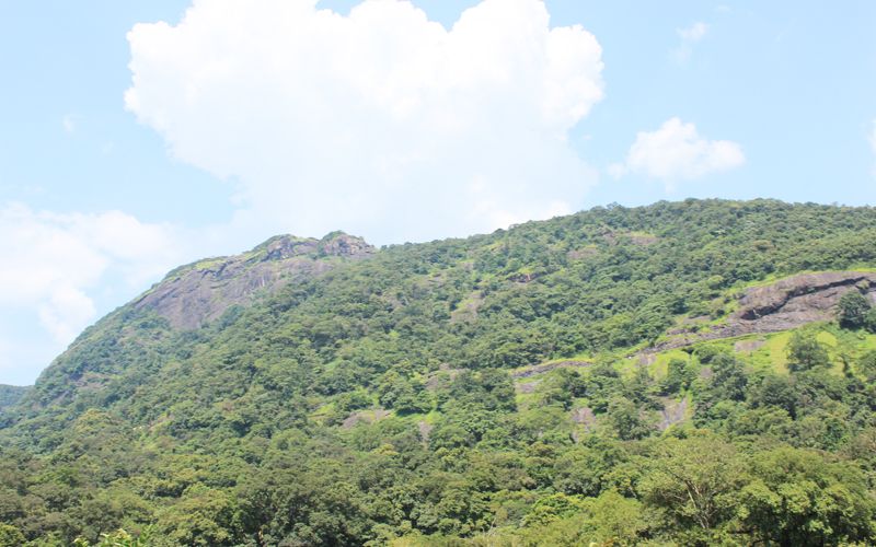 Private Full day Nandi Hill Excursion with Lunch - Key points to know before you go
