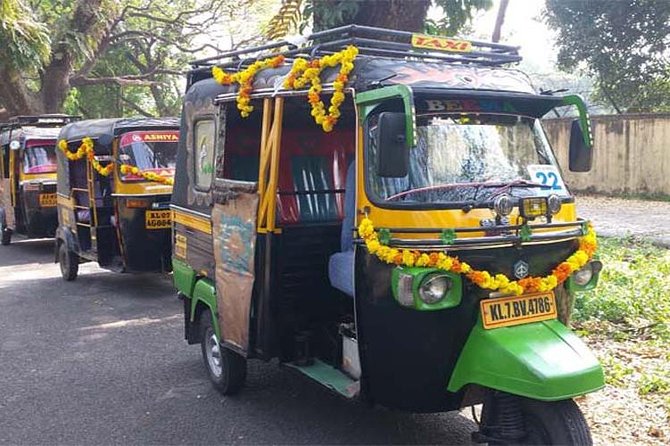 Private Guided Kochi Tuk tuk Tours with Pickup from Cruise Ships - Chinese Fishing Nets: Kochi’s signature sight
