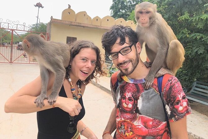 Private Jaipur Tuk-Tuk Tour with Monkey Temple - Monkey Temple brings nature and faith into the day