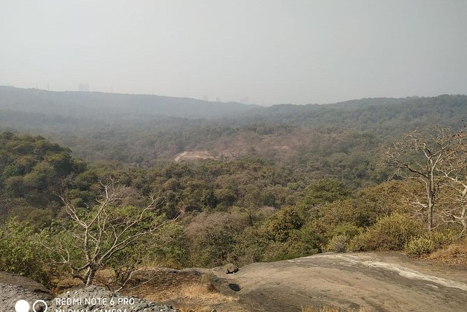 Private Kanheri- Buddhist Cave Tour - Hotel pickup, mobile tickets, and planning