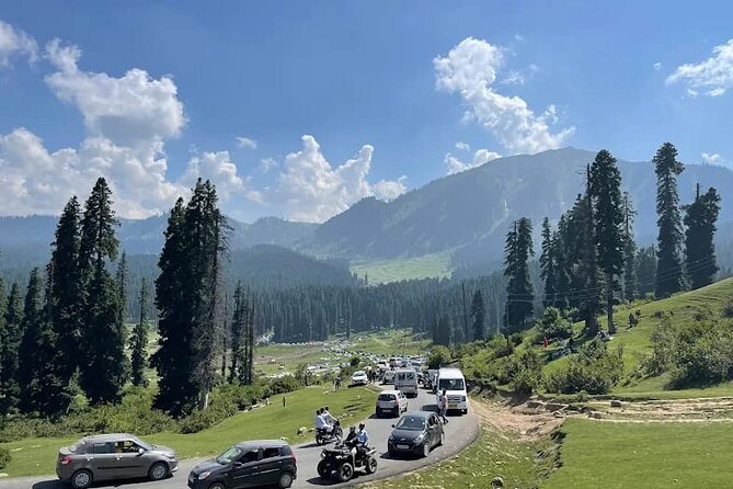 Private Kashmir Family 7-Day Tour - Day 2: Saffron fields and the road to Pahalgam
