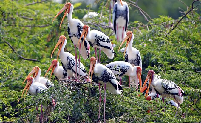 Private Keoladeo National Park Tour sightseeing - All Inclusive - Key Points Before You Book