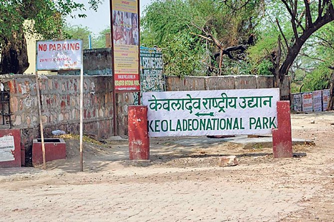 Private Keoladeo National Park Tour sightseeing - All Inclusive - Choosing the Agra Transfer Package