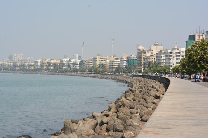 Private Mumbai Sightseeing Tour (Traveller's Choice Award Winner) - Dhobi Ghat, Mumbai’s working city in view