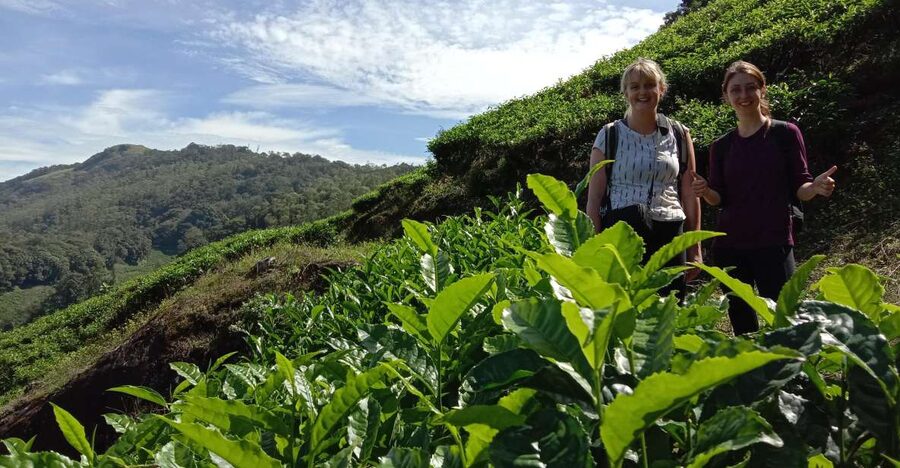 Private Munnar Tea Trek - What the Munnar tea trek is really like