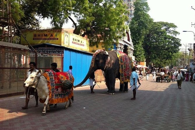Private Once Upon A Madurai Trail Walking Tour - Why stories work so well in Madurai