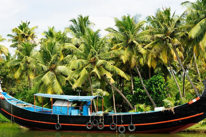 Private Overnight Alleppey Houseboat Cruise from Kochi - Why an overnight Alleppey cruise is worth your time