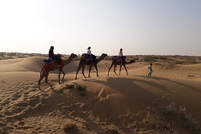 Private Overnight Safari Tour with Camel Ride - Key points to know before booking