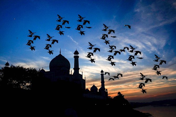 Private same day Taj Mahal tour from Banglore - The guides and the human side of the day