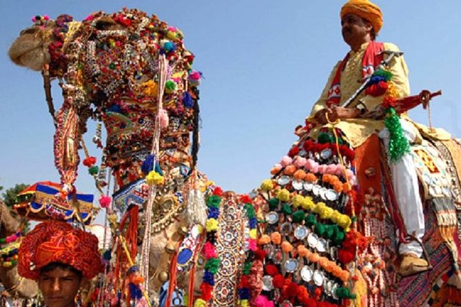 Private Same Day Trip to Pushkar from Jaipur - Lunch, costs, and the real value of $32