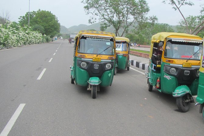 Private Tuk-Tuk Tour of Jaipur with Guide - Two hours inside City Palace