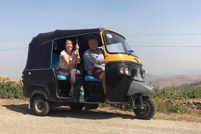 Private Udaipur Sightseeing Tour by Tuk-Tuk or Car with Driver - Gulab Bagh, Jagdish Temple, and Lake Pichola