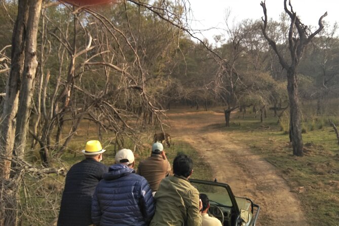 Ranthambore National Park - Is $34.96 a fair price?