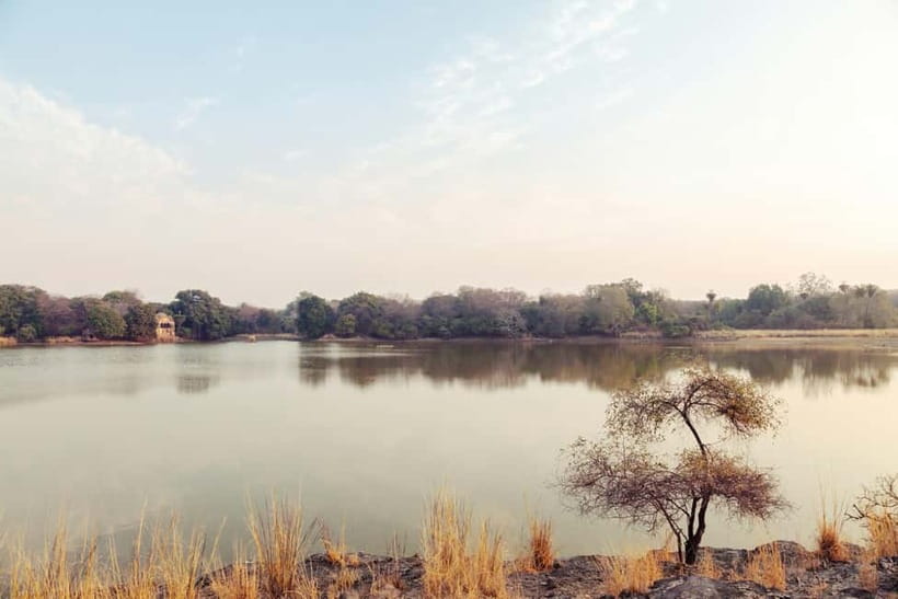 Ranthambore National Park: Safari Ticket with Pickup Option - Understanding the safari zones