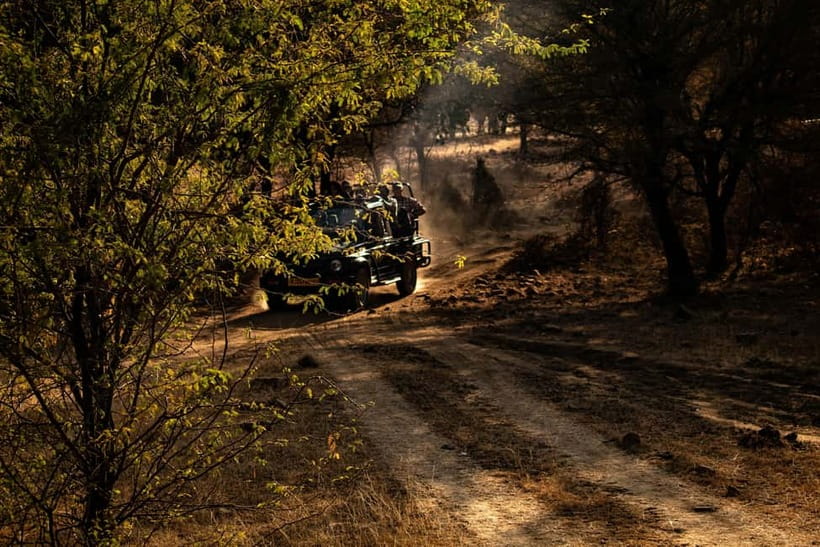 Ranthambore National Park: Safari Ticket with Pickup Option - The canter versus a jeep