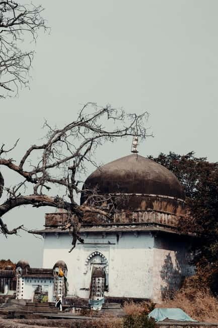 Ranthambore National Park: Safari Ticket with Pickup Option - Guide quality and tipping