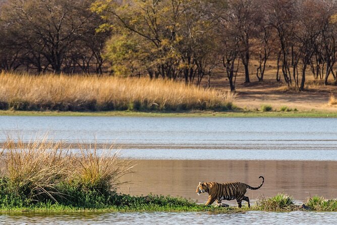 Ranthambore Safari Admission tickets : Choose your Option - Zones 3 and 4, and why the zone matters