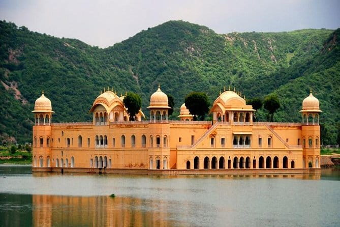 Ranthambore Tiger Safari Private Same Day Trip from Jaipur - The guide and service experience
