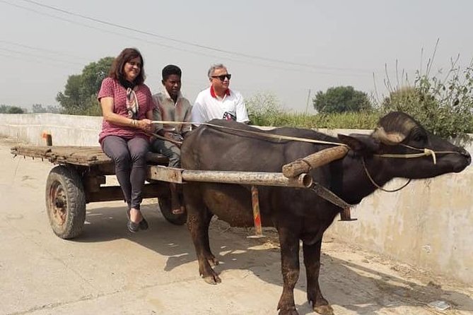Real Village Tour Amritsar - A first taste of Punjab with tea and lassi