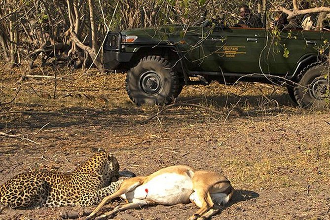 Safari In Jhalana Leopard Conservation Reserve, Jaipur - Why Jhalana works well in a Jaipur itinerary