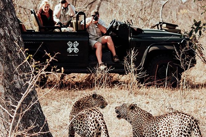 Safari In Jhalana Leopard Conservation Reserve, Jaipur - Entering the 20-square-kilometer reserve