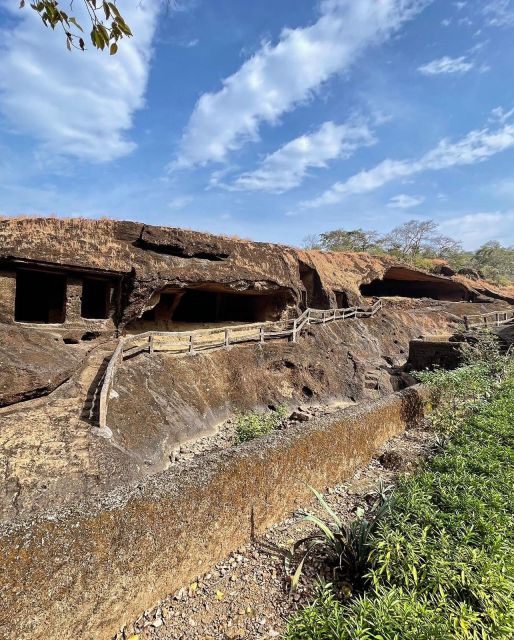 Sanjay Gandhi National Park + Kenheri Caves + Lion Safari - Who should book this experience?