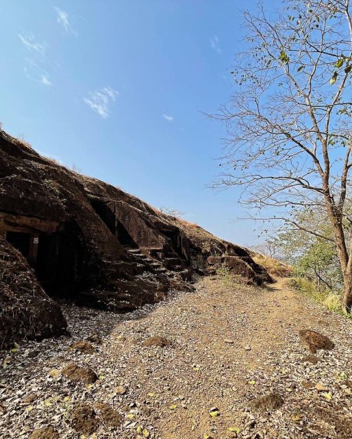 Sanjay Gandhi National Park + Kenheri Caves + Lion Safari - Kanheri Caves and the meaning behind the carvings