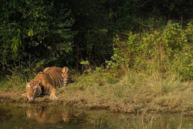 Sariska Tiger Reserve Assistance for Gypsy Private Safari Tickets - What you might see besides a tiger
