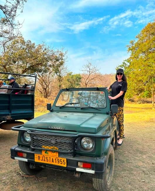 Sawai Madhopur: Ranthambore National Park Guided Jeep Safari - Who should book this safari?
