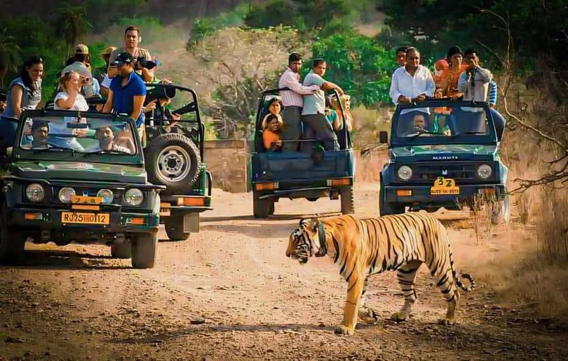 Sawai Madhopur: Ranthambore National Park Guided Jeep Safari - Entering Ranthambore from Sawai Madhopur