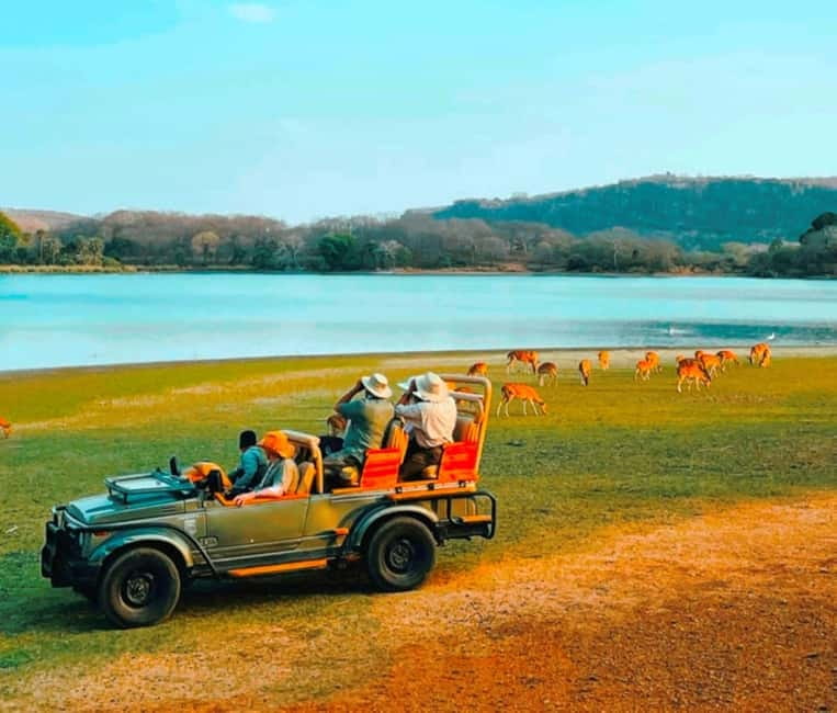 Sawai Madhopur: Ranthambore National Park Guided Jeep Safari - The animals beyond the tiger