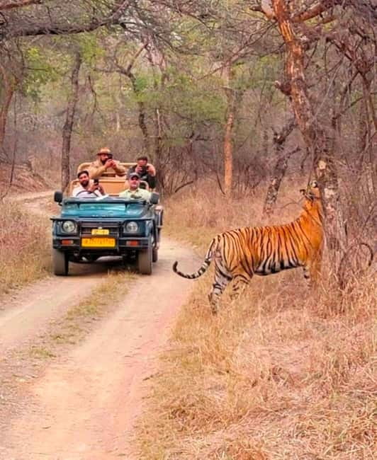 Sawai Madhopur: Ranthambore National Park Guided Jeep Safari - Park zones and the tiger-spotting question