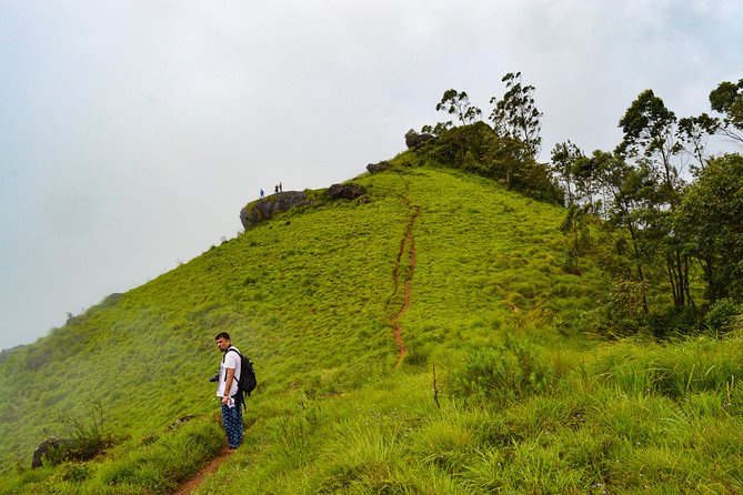 Scenic Kerala : Hills, Wildlife, Backwaters & Beach Bliss- 7 Days - Day 2: Munnar’s tea hills and high-country views