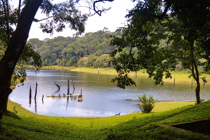 Scenic Kerala : Hills, Wildlife, Backwaters & Beach Bliss- 7 Days - Day 3: Munnar to Thekkady and Periyar
