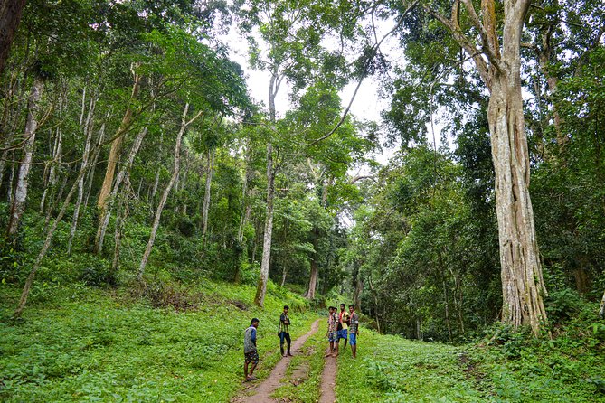 Scenic Kerala : Hills, Wildlife, Backwaters & Beach Bliss- 7 Days - Day 7: Varkala, with a Mararikulam option