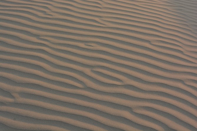 Shahi Half day non touristic sand dune camel safari with dinner - At a glance