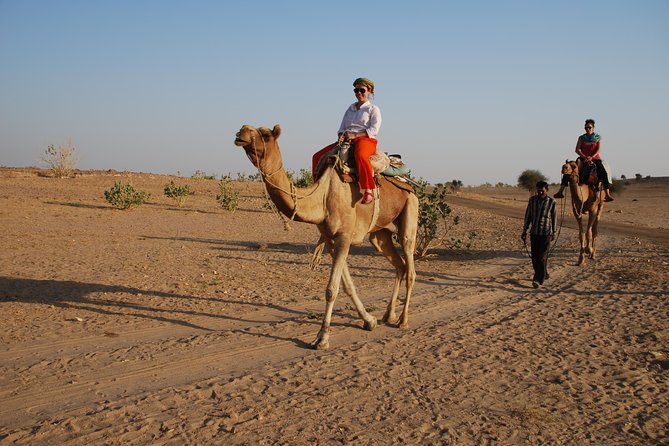 Shahi Half day non touristic sand dune camel safari with dinner - Leaving Jaisalmer at 2 p.m.