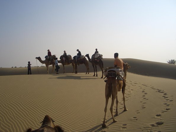 Shahi Over Night camel safari non touristic sand dune - Key points to know before booking
