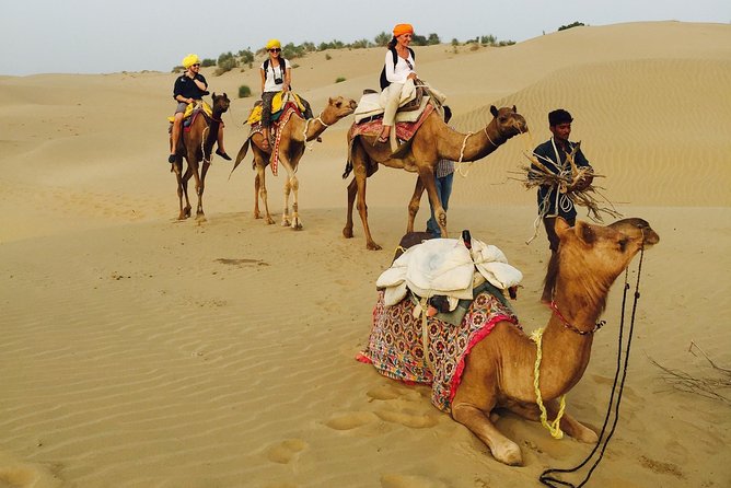 Shahi Over Night camel safari non touristic sand dune - Dinner, tea, and a night beneath the stars