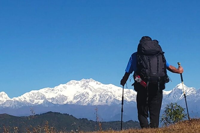 Singalila Trek from Darjeeling - Why the Singalila Ridge feels different
