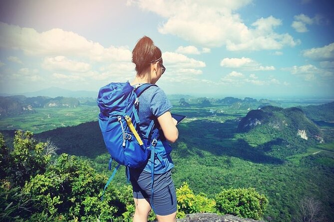 Solo Kerala Private Tour Package ( 5 Nights) - Munnar, Thekkady, Houseboat - Hotels, meals, and the private-car setup