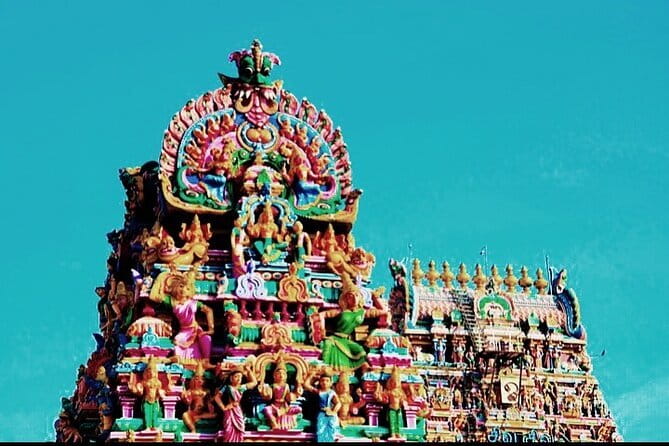 Splendid Chennai: Private Half Day Tour of Chennai - Pattinapakkam Fish Market: authentic, but not for everyone
